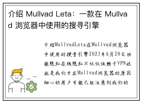介绍 Mullvad Leta：一款在 Mullvad 浏览器中使用的搜寻引擎 