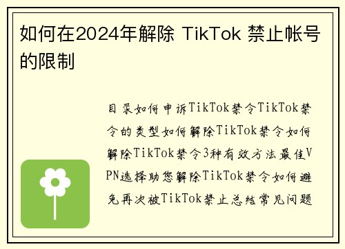 如何在2024年解除 TikTok 禁止帐号的限制