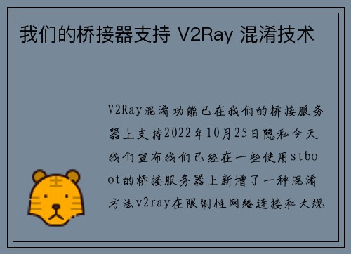我们的桥接器支持 V2Ray 混淆技术 